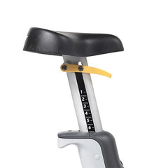 LeMond Series UC Upright Club Bike