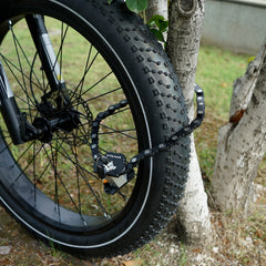 VTUVIA SF20H Step-Thru Folding Fat Tire E-Bike